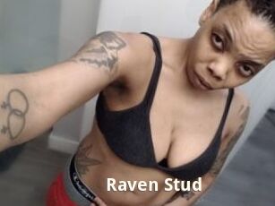 Raven_Stud