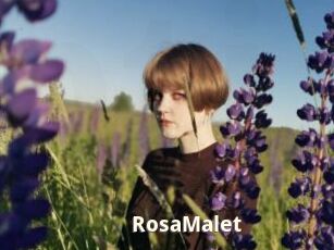 RosaMalet