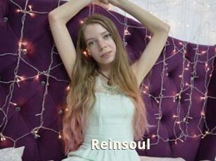 Reinsoul