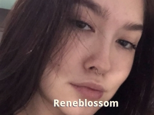 Reneblossom