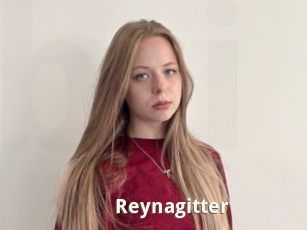 Reynagitter