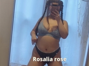 Rosalia_rose