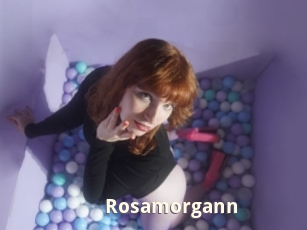 rosamorgann Bigtitinvasion