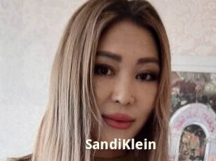 SandiKlein