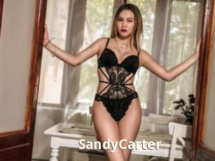 SandyCarter