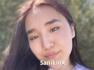 SaniLink