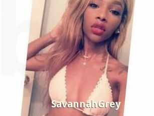 Savannah_Grey