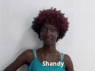 Shandy