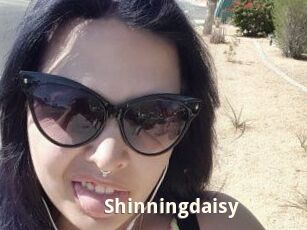 Shinningdaisy