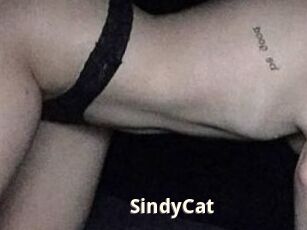 SindyCat
