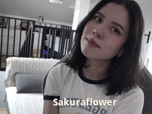 Sakuraflower
