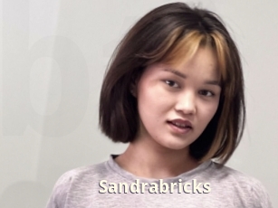 Sandrabricks