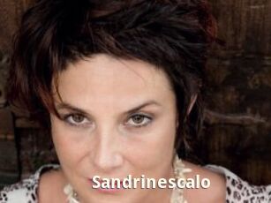 Sandrinescalo