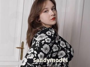 Sandymodel