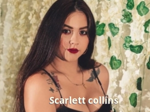 Scarlett_collins