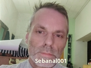 sebanal001 Bigtitinvasion