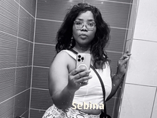 Sebina