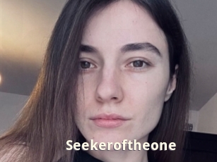 Seekeroftheone