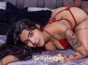 Sellyledger