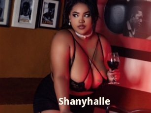 Shanyhalle