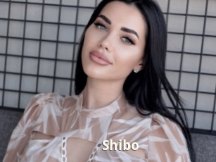 Shibo