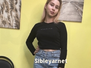 Sibleyarnet