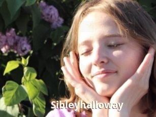Sibleyhalloway