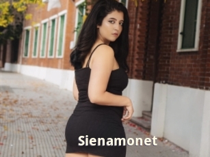 sienamonet Bigtitinvasion