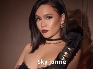 Sky_junne