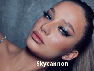 Skycannon