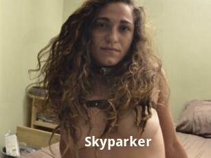 Skyparker
