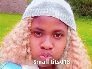 Small_tits018