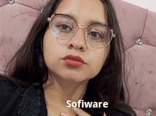 sofiware Bigtitinvasion