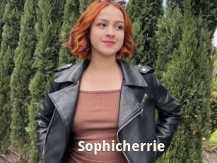 Sophicherrie