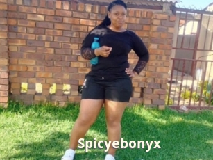 Spicyebonyx