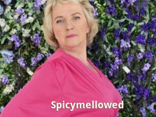 Spicymellowed