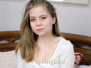 Springbird