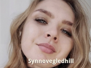 Synnovegledhill