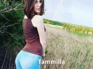 Tammilla_