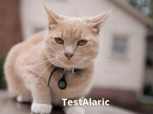 TestAlaric