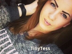 TinyTess