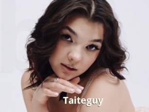 Taiteguy
