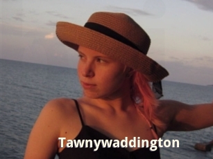 Tawnywaddington