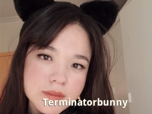Terminatorbunny