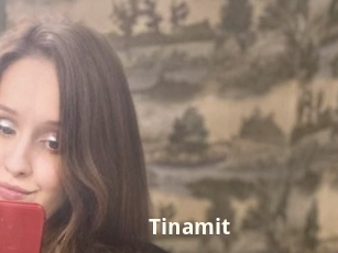 Tinamit