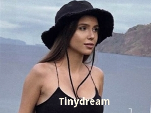 Tinydream