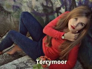 Torrymoor
