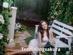 Tremblingsakura