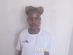Uggal