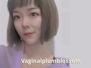 Vaginalplumblossom